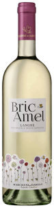 Marchesi di Barolo Bric Amel Langhe 2019