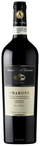 Tenuta Sant’Antonio Selezione Antonio Castagnedi Amarone della Valpolicella 2016