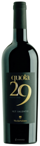 Menhir Quota 29 Primitivo 2019