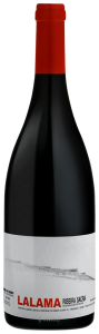 Dominio do Bibei Ribeira Sacra Lalama 2016