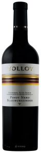 Tolloy Pinot Nero – Blauburgunder 2018