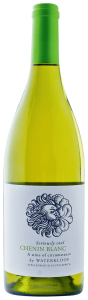 Waterkloof Circumstance Seriously Cool Chenin Blanc 2018