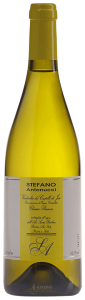 Azienda Santa Barbara – Stefano Antonucci Verdicchio dei Castelli di Jesi Classico Superiore 2017