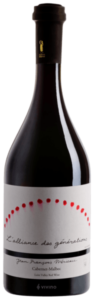 2019 Jean François Mérieau L’ Alliance des Générations Cabernet Franc – Malbec