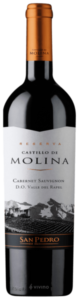 2019 San Pedro Castillo de Molina Cabernet Sauvignon (Reserva)