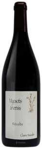 2018 Henri Naudin-Ferrand Myosotis Arvensis