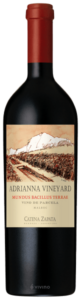 2014 Catena Zapata Adrianna Vineyard Mundus Bacillus Terrae Malbec