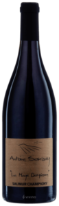 2019 Antoine Sanzay Saumur-Champigny ‘La Haye Dampierre’