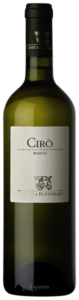 2021 Tenuta Iuzzolini Cirò Bianco