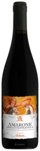 2019 Le Ville Di Antanè Amarone della Valpolicella
