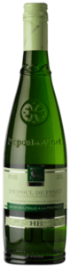 2022 Les Costières de Pomerols Hugues de Beauvignac (HB) Picpoul de Pinet