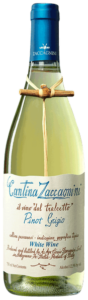 2021 Cantina Zaccagnini Pinot Grigio (Tralcetto)