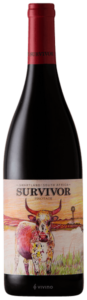 2020 Survivor Pinotage
