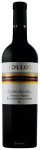 2020 Tolloy Pinot Nero – Blauburgunder
